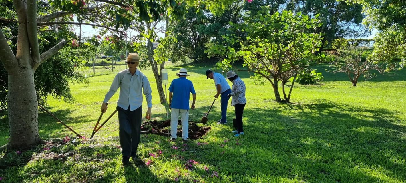 Rediseño de la Cancha de Park Golf