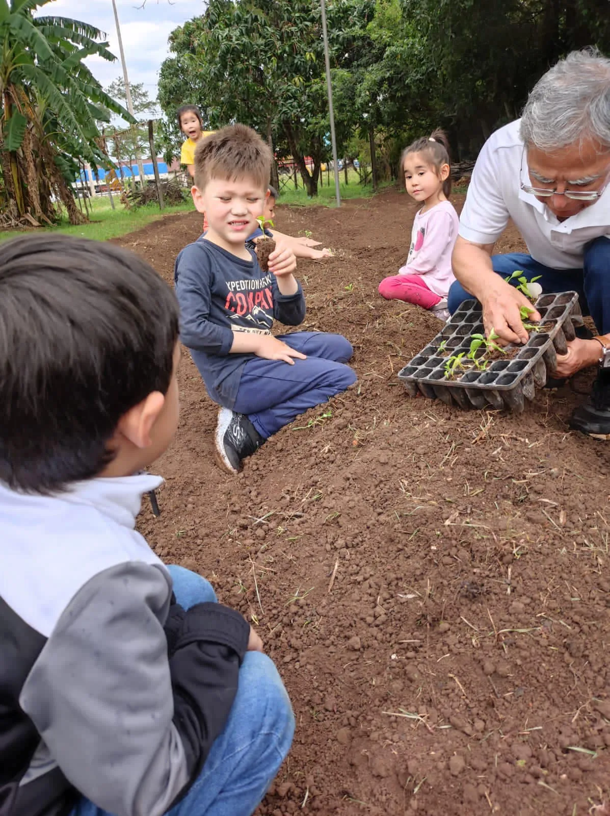 Los niños trasplantaron plantines de sandía junto al Sr. Yukio Chiba