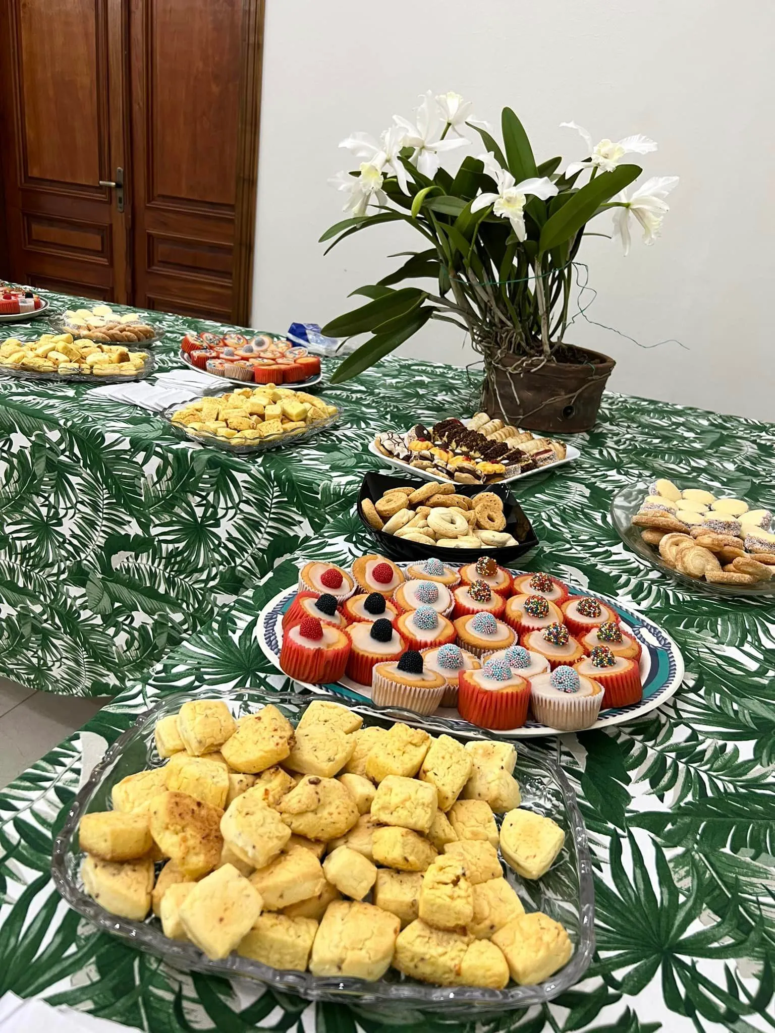 312921227_629761555604865_7619064809267376561_n