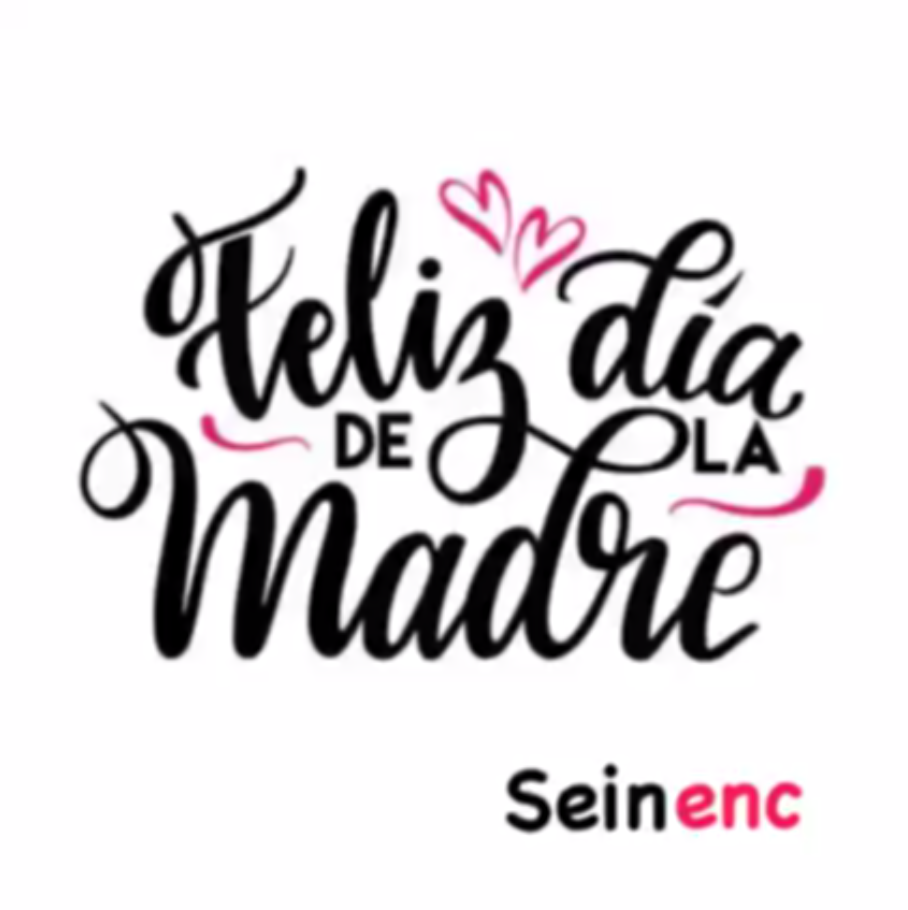 Homenaje de Seinenbu a las madres