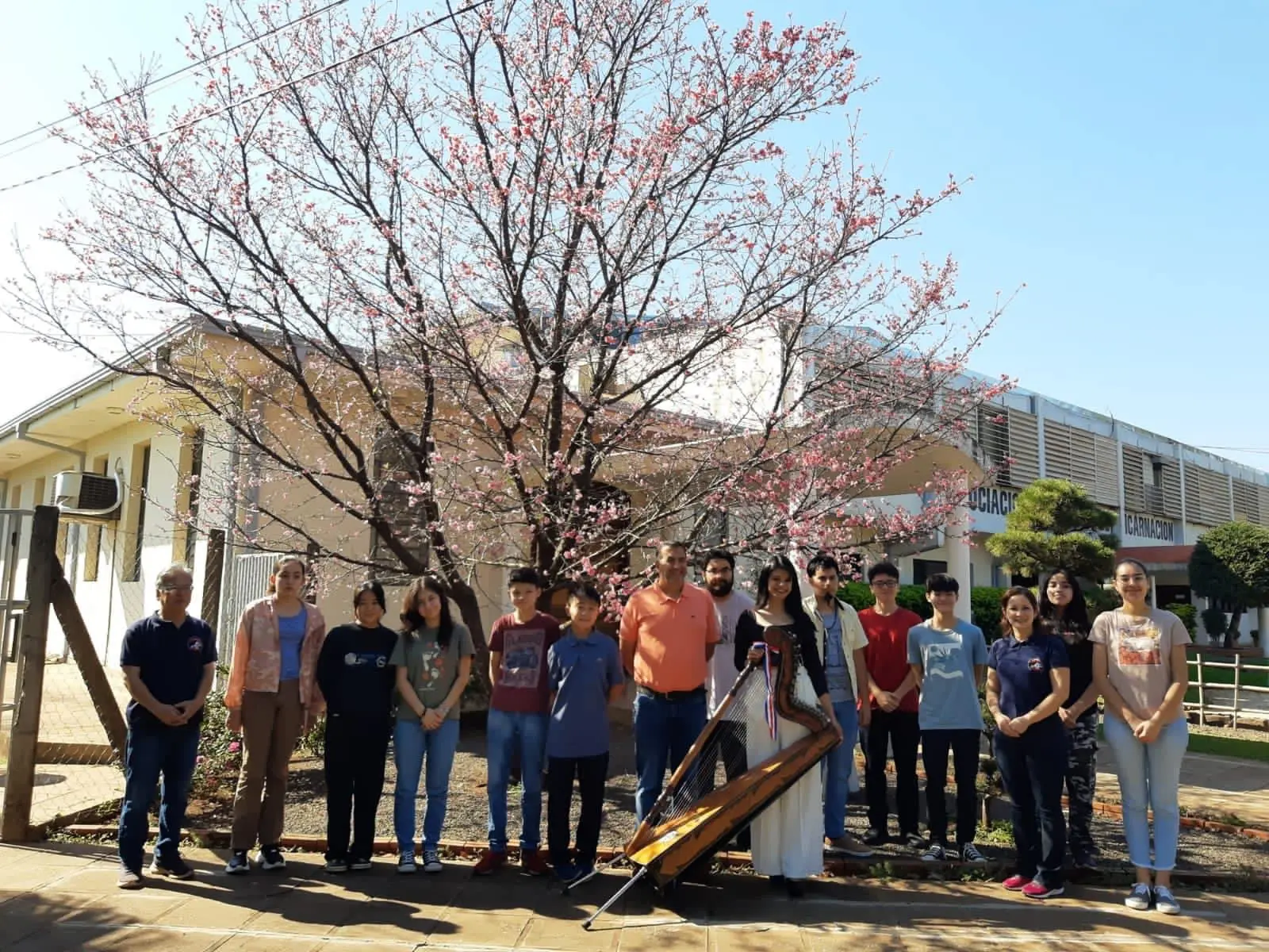 Hanami con los alumnos de Nihongogakko